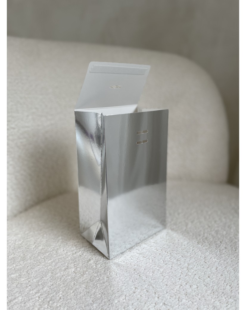 PRESTIGE POUCH SILVER MIRROR – S (12x8x20 cm)