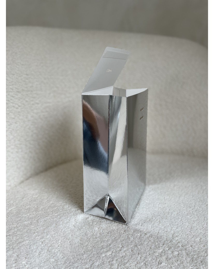PRESTIGE POUCH SILVER MIRROR – S (12x8x20 cm)