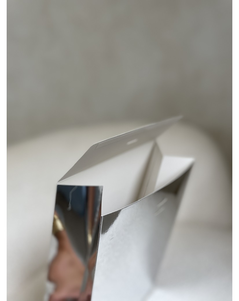 PRESTIGE-ZAK – Spiegel Zilver M (20x10x30cm)