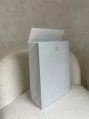 BOLSA PRESTIGE PLATEADA CON BRILLOS – L (30x12x40 cm)