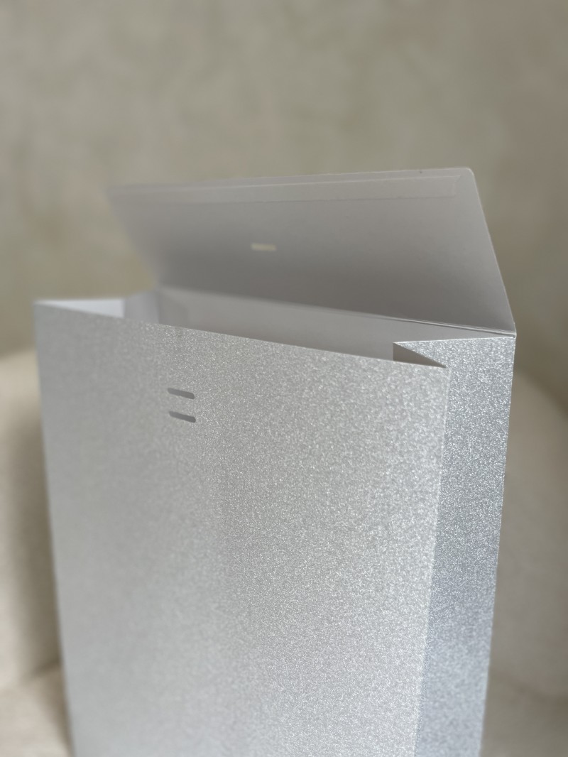 PRESTIGE POUCH SILVER GLITTER – L (30x12x40 cm)