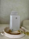 PRESTIGE-ZAK – Glitter Zilver S (12x8x20cm)
