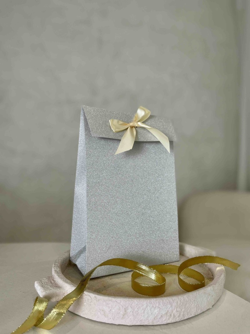 PRESTIGE-ZAK – Glitter Zilver M (20x10x30cm)