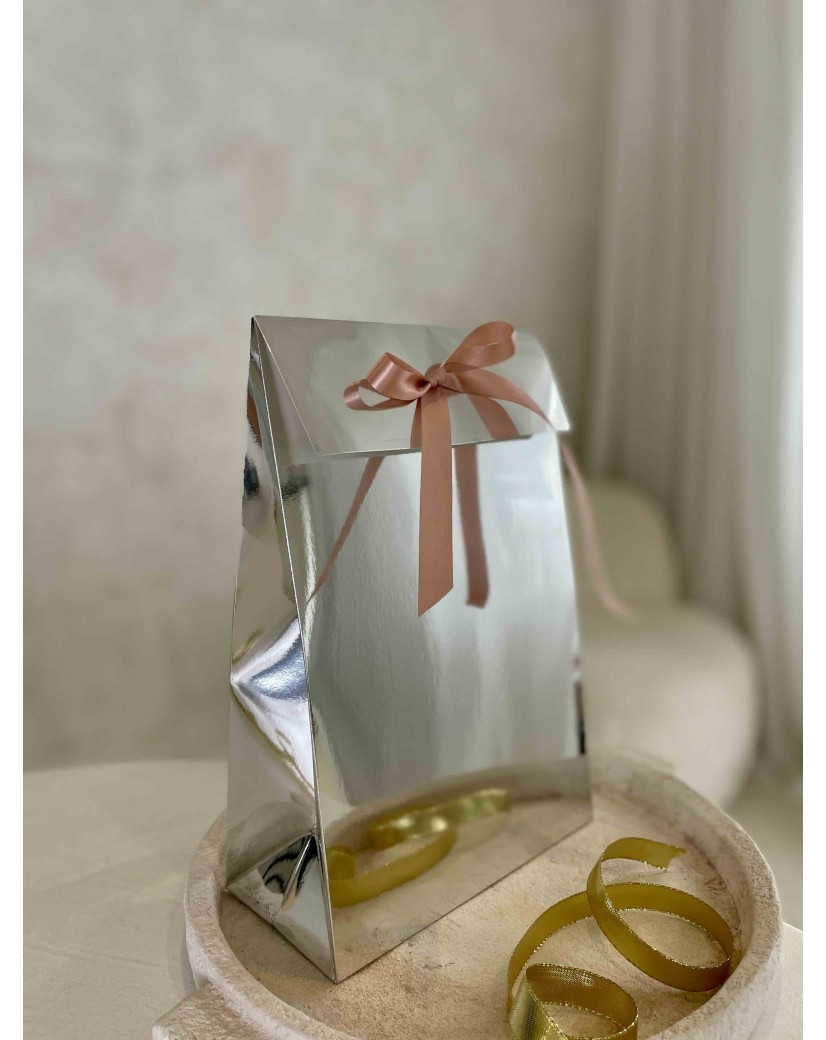 PRESTIGE-ZAK – Spiegel Zilver M (20x10x30cm)