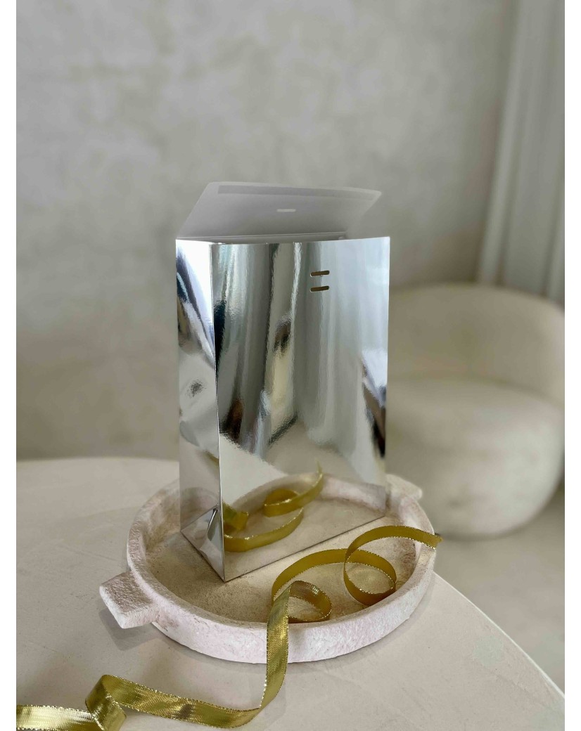 PRESTIGE POUCH SILVER MIRROR – M (20x10x30 cm)