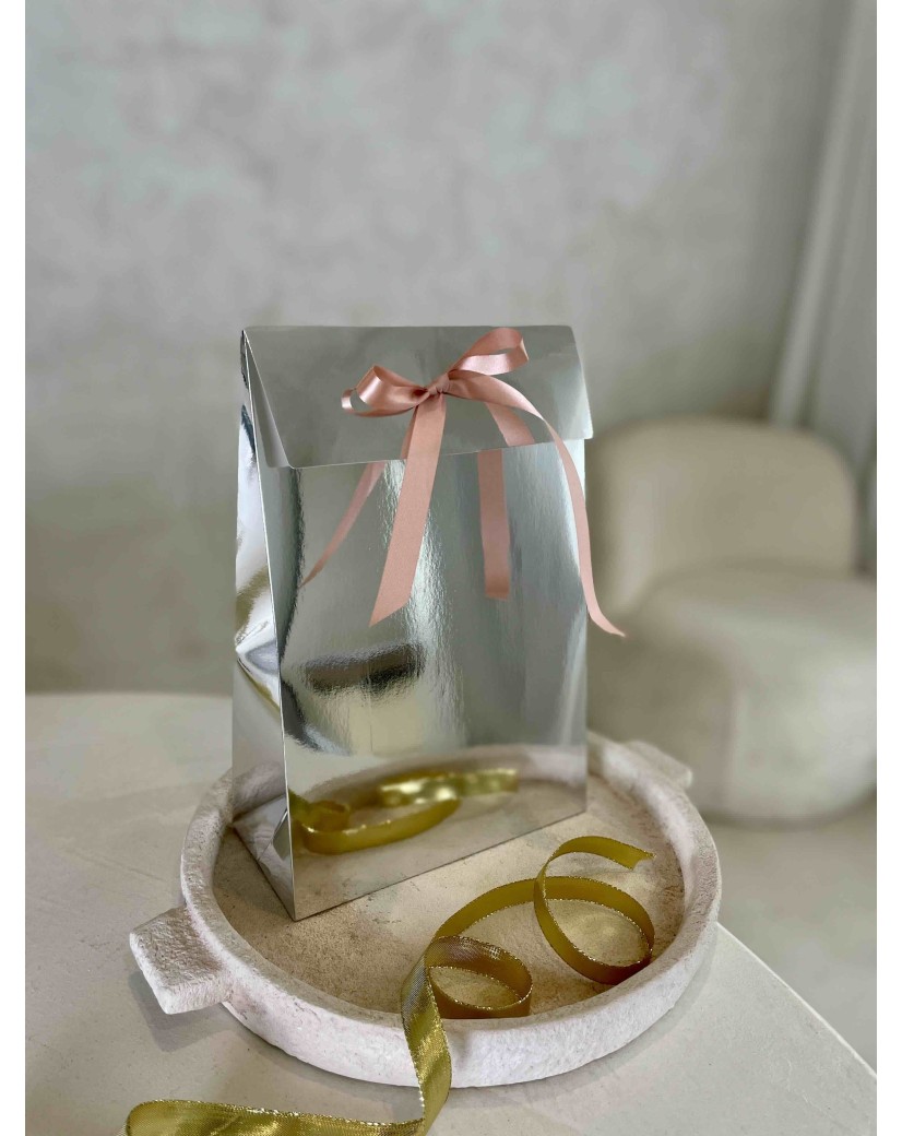 PRESTIGE POUCH SILVER MIRROR – M (20x10x30 cm)
