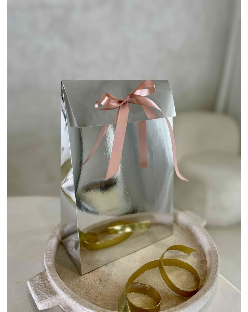 PRESTIGE POUCH SILVER MIRROR – M (20x10x30 cm)