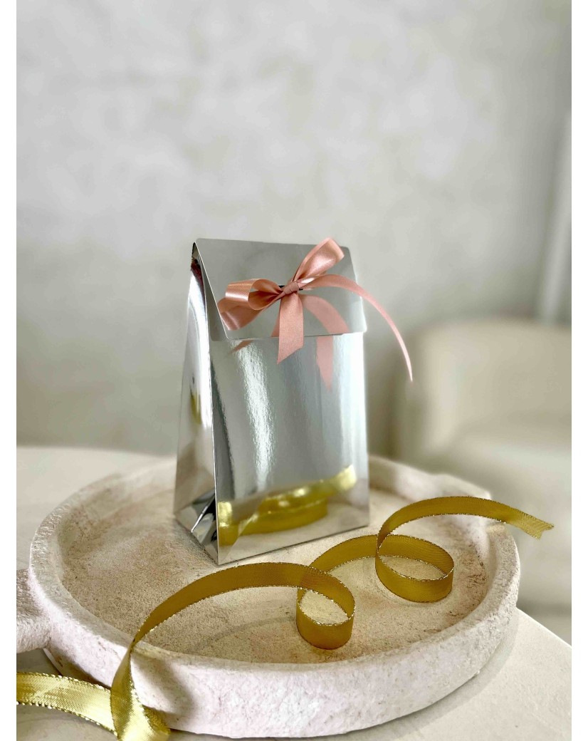 PRESTIGE-TASCHE SILBER SPIEGEL – S (12x8x20 cm)