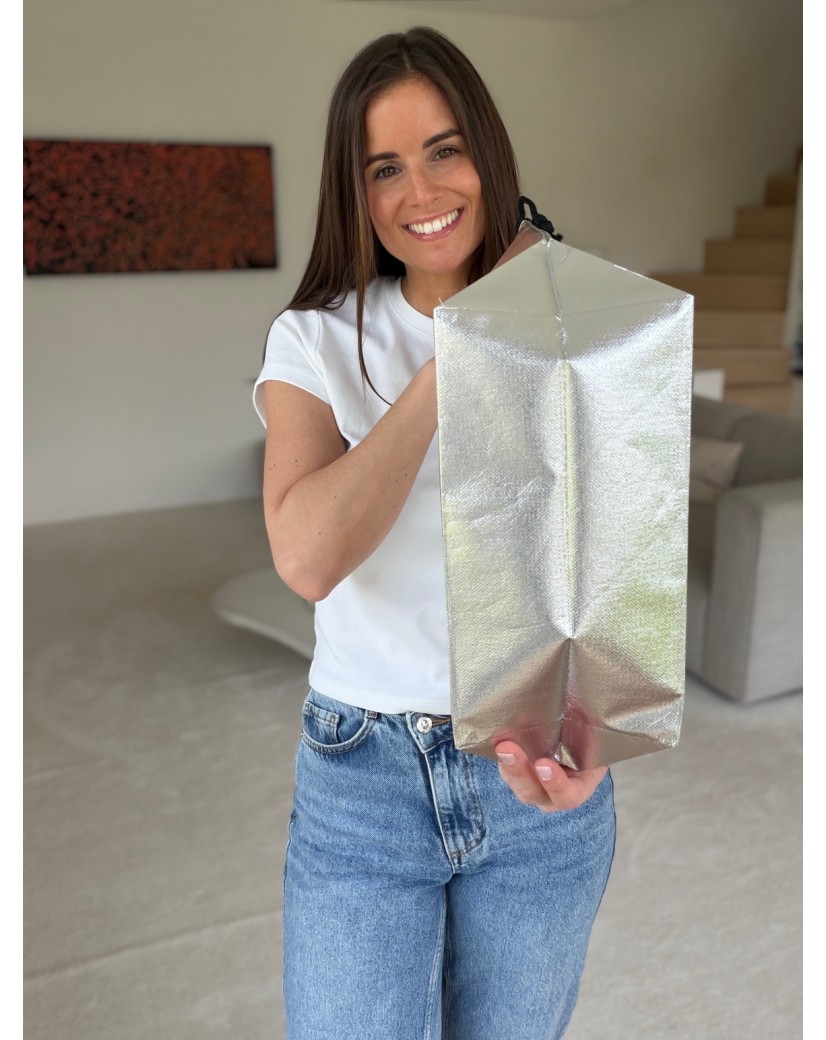 NICE BAG SILVER – M (40x14x30 cm)