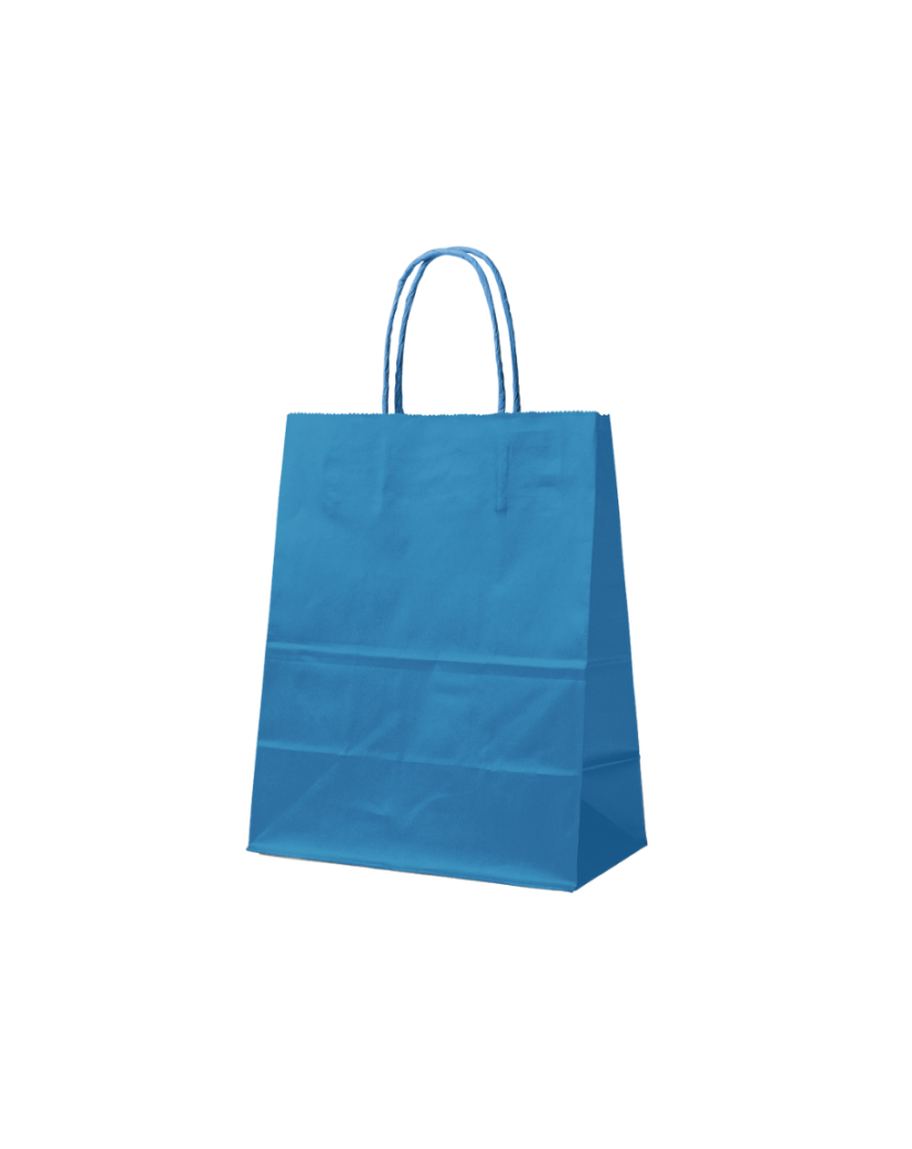 Paper Bag Blue M (22x10x31cm)