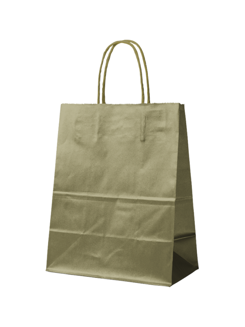 Paper Bag Gold M (22x10x31cm)