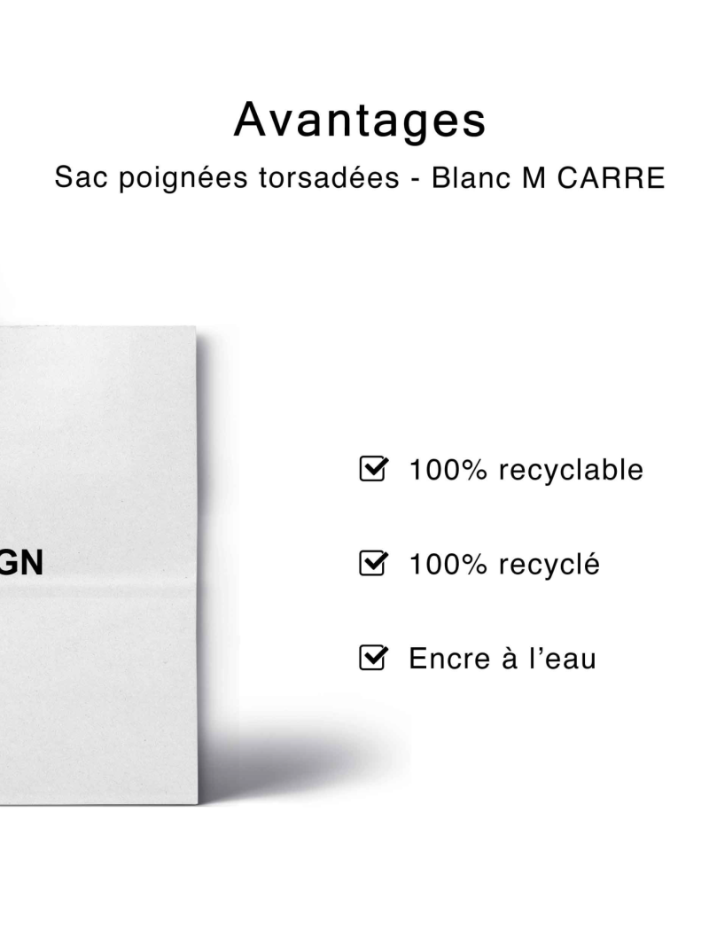 Chronopack Sac poignées torsadées noires papier blanc carré