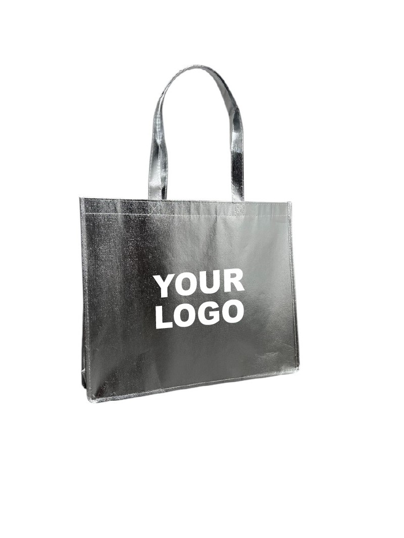 MIAMI TASCHEN - SILBER - (42x12x35 cm)