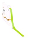 Cinta de Satén – Spring Green 15mm – 100m